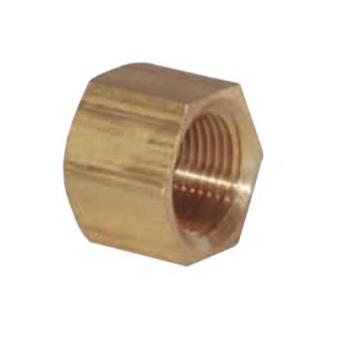 300MICAP100 300# Iron Threaded Cap