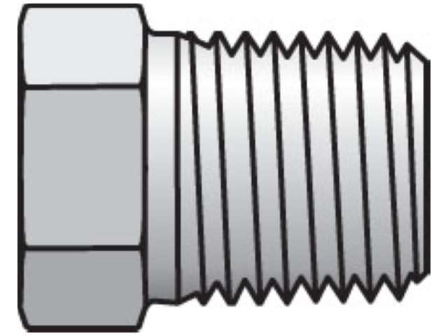 1 1/4 HP-SS Pipe & Port Plug and Cap HP