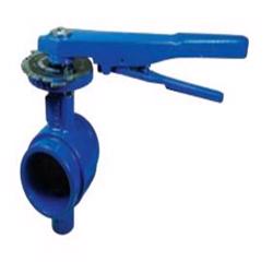 Grooved End Iron Butterfly Valve