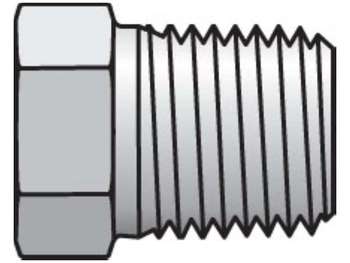 1/2 HP-SS Pipe & Port Plug and Cap HP