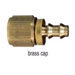 Female NPTF x Push-on Hose Barb Brass Cap Option