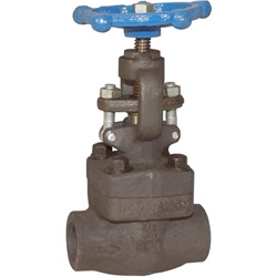 Globe Valves 