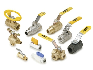 Ball Valves & Plug Valves