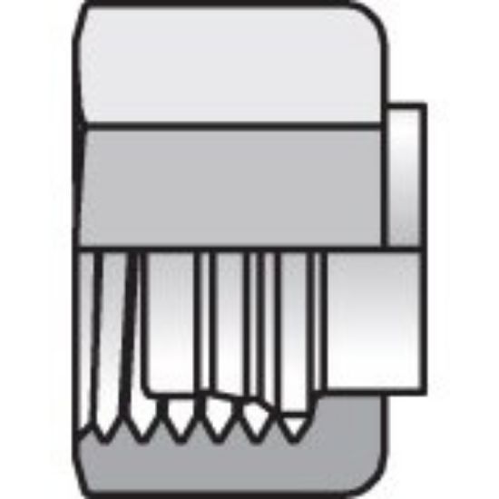 Picture of Intrulok® Brass Flareless Bite Type Fittings - 2 BTI2-B