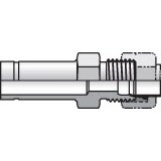 Picture of Intrulok® Brass Flareless Bite Type Fittings - 6-4 TRBI2-B