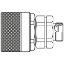 Picture of Screw-to-Connect Quick Coupling - Series QHPA - QHPA14-D7X5-C