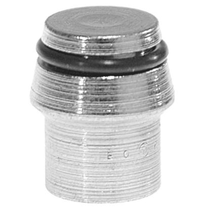 Picture of Plugs for Ermeto DIN high pressure hydraulic fittings - VKA10CF
