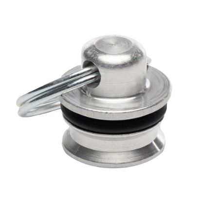 Picture of Protective Dust Caps and Plugs (Molded and Metal) for Quick Couplings - H4-65
